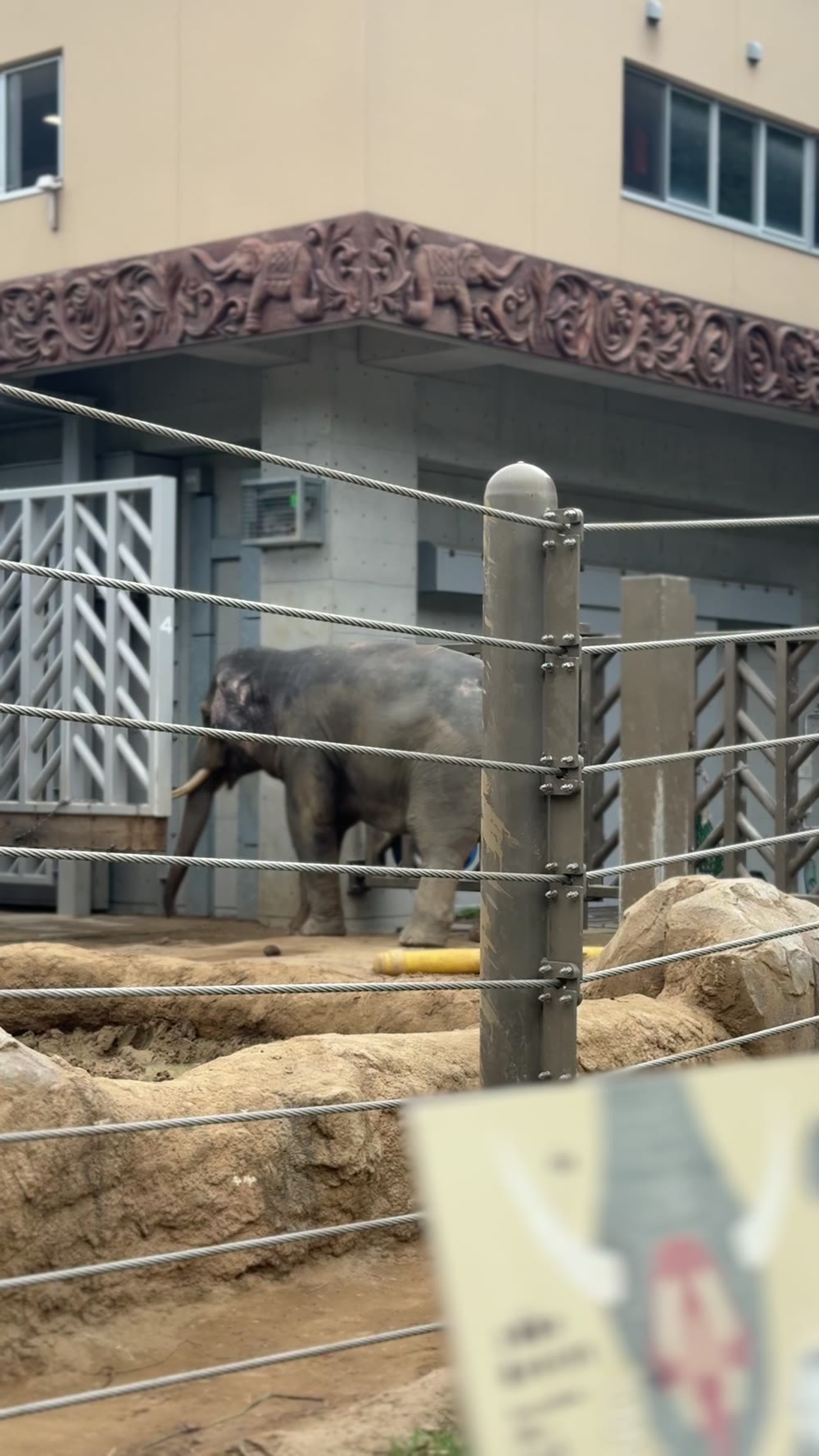 大きなゾウの姿